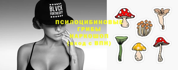 дживик Балахна