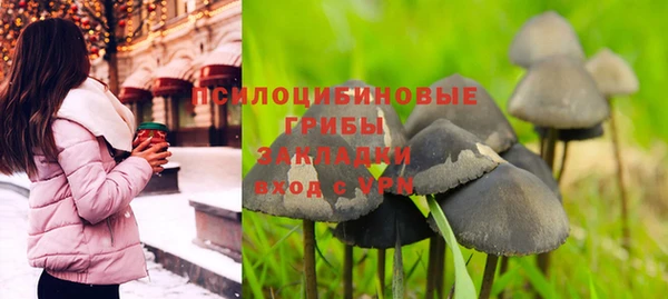 стаф Баксан